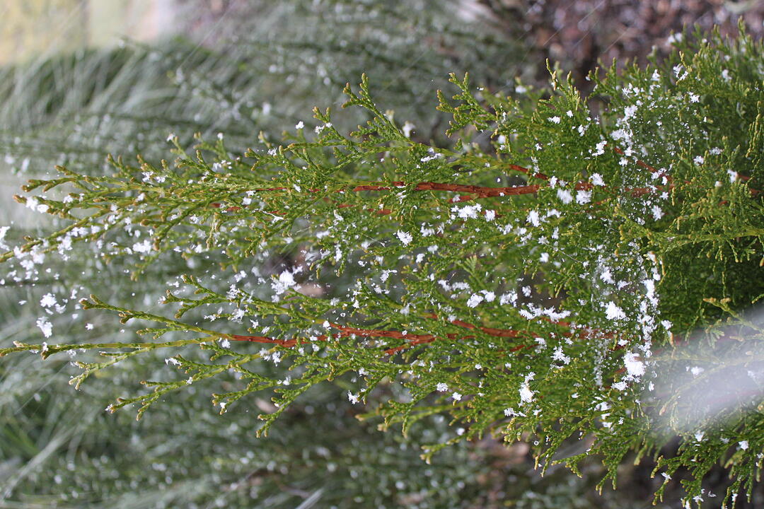 Erster Schnee in Oberfranken