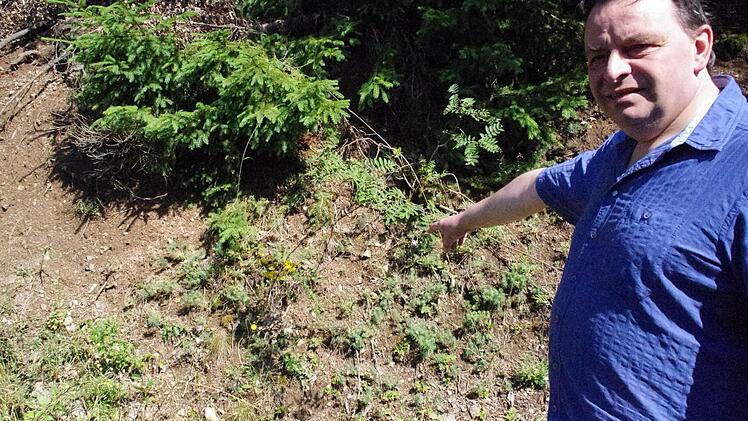 Harald Tragelehn verweist auf Anzeichen einer geologischen Störung. Foto: Marco Meißner
