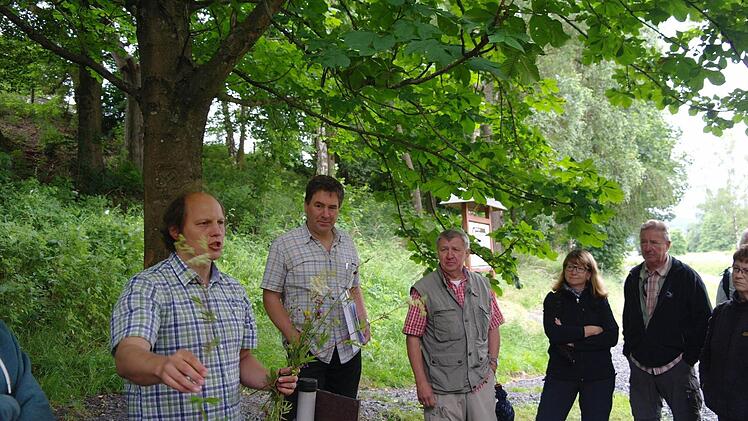 Während der Wanderung gab es viel zu entdecken. Foto: Stephanie Elm