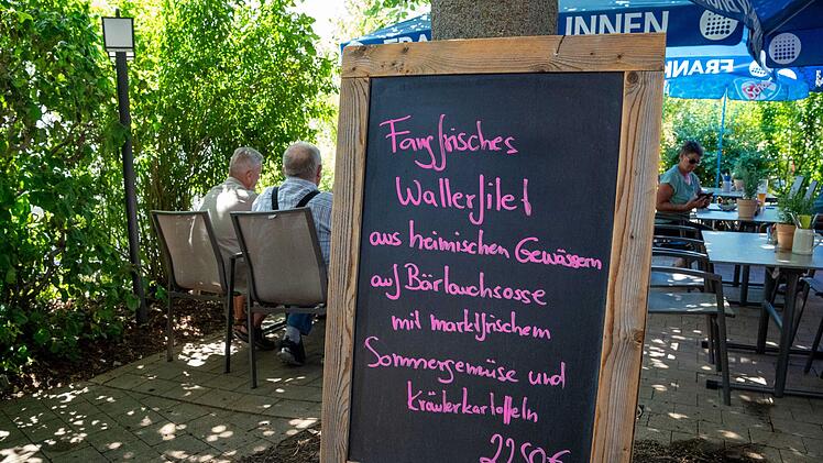 Erschossener Wels vom Brombachsee landet in Pfanne: "war sehr lecker"
