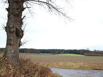 Am Waldrand soll die Anlage wenig störend für das Landschaftsbild werden - sofern sie genehmigt wird. Foto: Marco Meißner