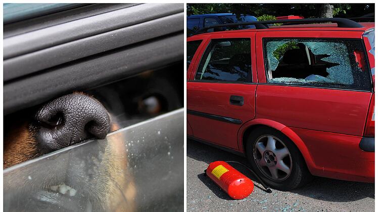 Nürnberg: Hitzetod im Auto von Hunden - Polizei verrät, wie sich im Extremfall verhalten werden soll