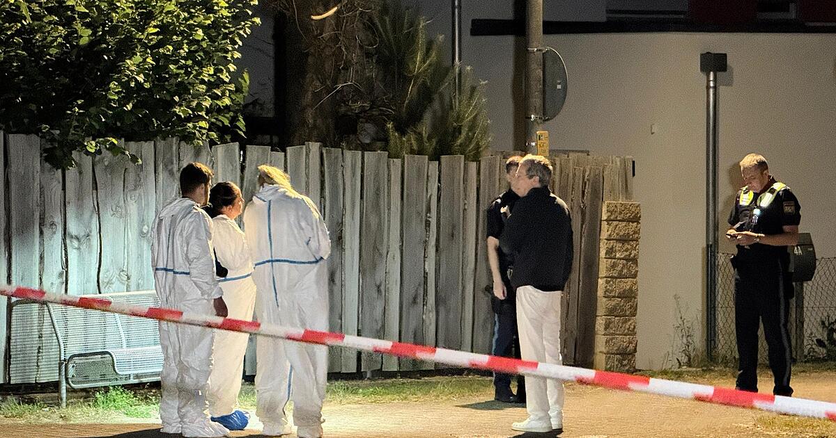 Brombachsee: Teenager (15) stabbed to death - | young woman sentenced to ...