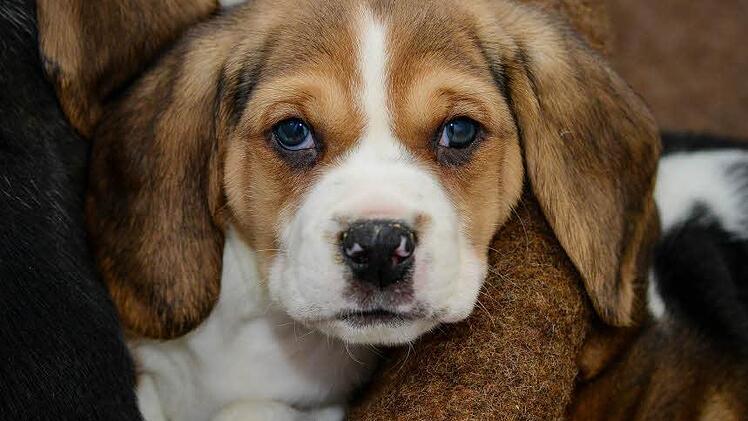 Foto: David Ebener/dpa