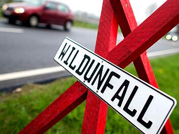 Landkreis Main-Spessart: Drei Wildunf&auml;lle an einem Tag - alle enden t&ouml;dlich