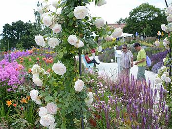 Blumen, Kunst und naturnahe Auenlandschaften erwarten die Besucher der Landesgartenschau in Bayreuth. Foto: Dagmar Besand