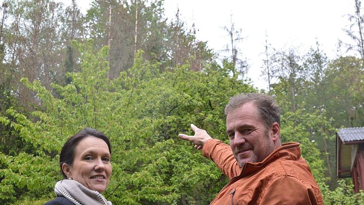 Der Borkenkäfer setzt den Bäumen zu: 30 abgestorbene Kiefern (sichtbar im Hintergrund) stehen im Garten der Bad Kissingerin Astrid Schmitt, im Bild mit Baumfachmann Edgar Thomas (Nüdlingen).  Foto: Isolde Krapf