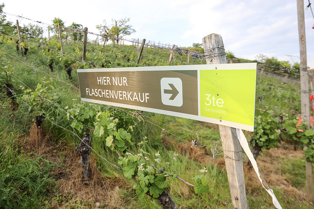 Das Kultweinfest vom Familienweingut Dahms.