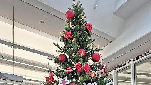 Der Weihnachtsbaum im BeratungsCenter Bad Kissingen.