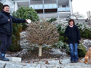 Christa Mann (links) mit ihrer Tochter Kerstin Kolb vor ihrem steilen Hanggrundstück, das terrassenförmig angelegt und abwechslungsreich bepflanzt wurde. Fotos: Dieter Hübner