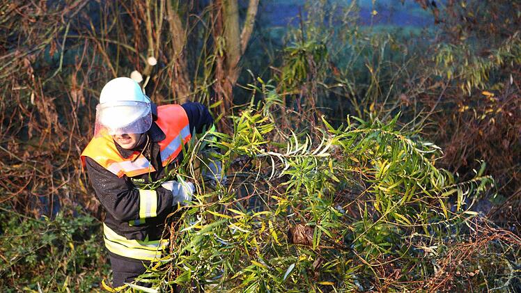 Foto: News5 / Herse