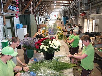 Am Dienstag wurden die Schnittblumen geliefert, angeschnitten, geprüft, gezählt und in den Kühlwagen gebracht. Fotos: Ralf Ruppert