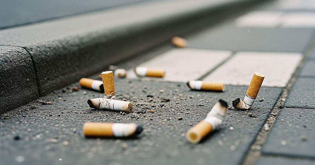 A cigarette butt will soon cost 250 euros here – will other cities follow ...
