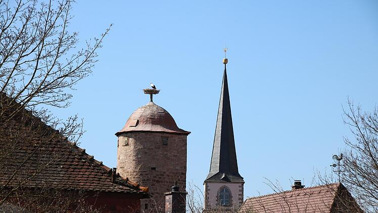 Von 2009 bis 2017 war eine Storchen-Cam auf dem Kirchturm installiert, heuer sollen eine Konstruktion direkt auf dem Dach des Mönchsturms Einblicke ins Nest ermöglichen.