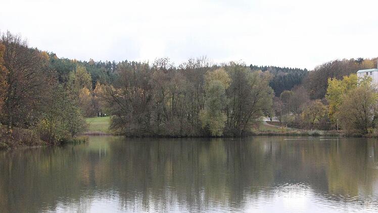 Vermutlich leben der oder die Biber auf der Insel am westlichen Ende des Wolfgangsees. Foto: Simone Bastian