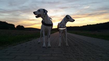 Foto: Jeani-Bini