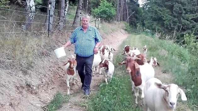 Gerhard Rentsch galt als Ideengeber. Dies zeigte er auch mit der Gr&uuml;ndung einer Schaf- und Ziegenzucht, die als "Landschaftspfleger" an den Steilh&auml;ngen von Ludwigsstadt eingesetzt werden. Foto: Veronika Schadeck