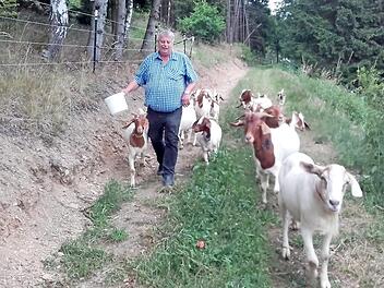 Gerhard Rentsch galt als Ideengeber. Dies zeigte er auch mit der Gründung einer Schaf- und Ziegenzucht, die als "Landschaftspfleger" an den Steilhängen von Ludwigsstadt eingesetzt werden. Foto: Veronika Schadeck