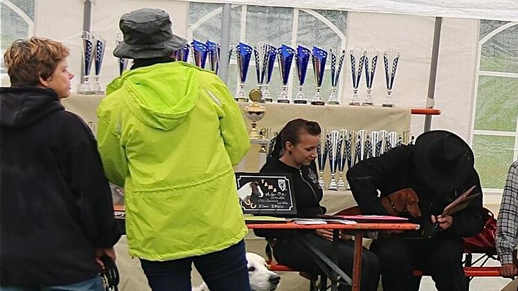 Viele Pokale warteten auf die Wertungssieger.