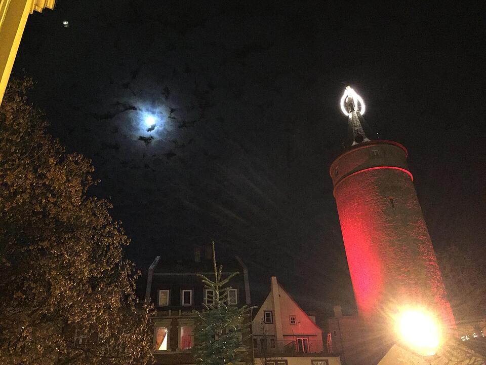 Weihnachtsmarkt-Test