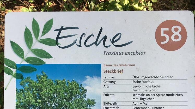 Der Trabelsdorfer Schlosspark hat viel zu bieten.Foto: Schreiber