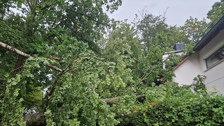 Bamberg: Wilde-Rose-Keller öffnet nach Unwetter wieder - mit einer Einschränkung