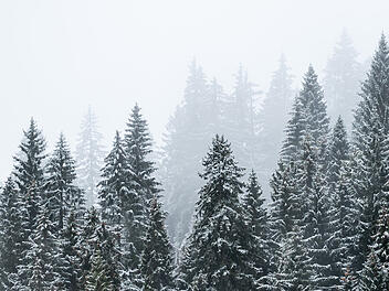 Erster Schnee auf dem Feldberg