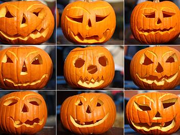 Populärer Pumpkin: Der kolossale Kürbis-Boom