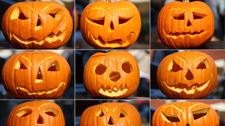 Populärer Pumpkin: Der kolossale Kürbis-Boom