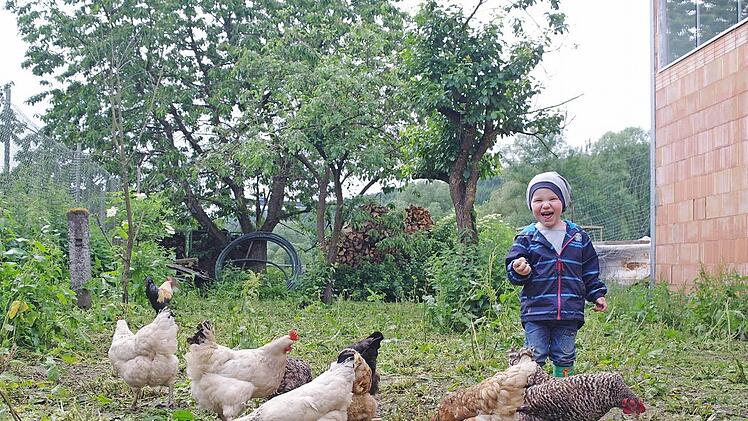 Michel ist ein Kind eines geburtenreichen Jahrgangs in Motten und macht kein Federlesen ums Hühnerfüttern. Der Gemeinderat sieht die Pläne zur Aufstellung eines Hühnermobils dagegen zwiespältig. Foto: Elm
