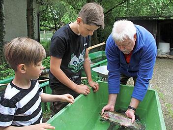 Rainer Müller (rechts) zeigt einige besonders prächtige Exemplare. Foto: Gerda Völk