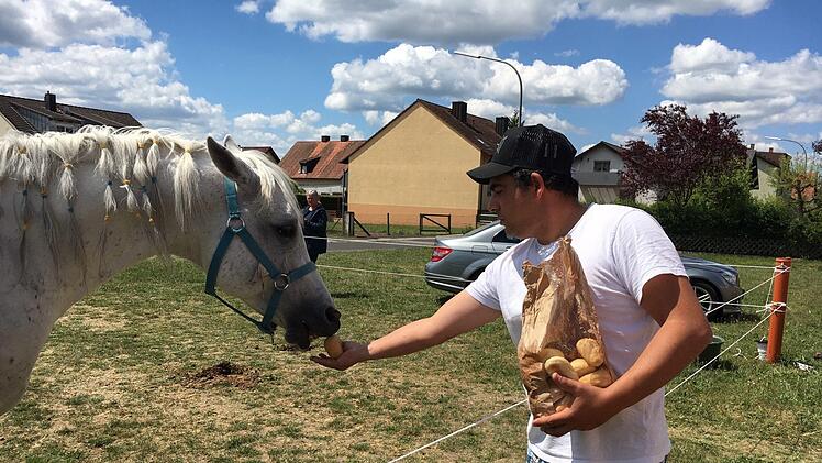 Sergio Schmitt gibt Ramses trockenes Brot,  das dem Zirkus gebracht wurde.Foto: Anette Schreiber