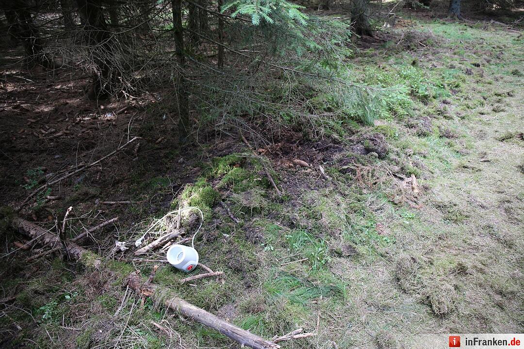 Fundort von Peggys Leiche