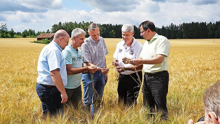 Ein Braugerstenfeld in der Fränkischen Schweiz begutachteten bei der Rundfahrt (von links) Hans Pezold, Friedrich Ernst (Amt für Ernährung, Landwirtschaft und Forsten), Markus Burteisen, Hermann Greif und Martin Schöffel.