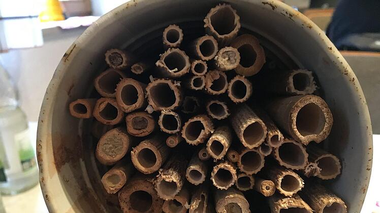 In eine Dose stecken Röhrchen als Nisthilfe. Diese sollte mindestens zehn Zentimeter tief sein.Kerstin Väth