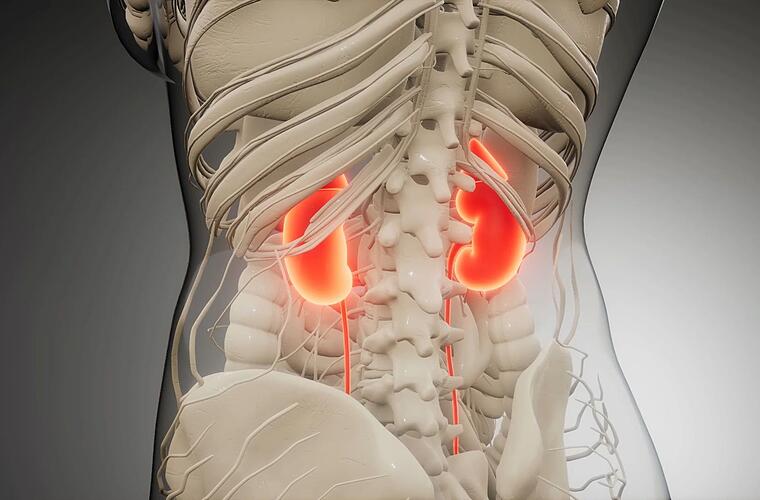 Harnsäure senken Diese Lebensmittel helfen