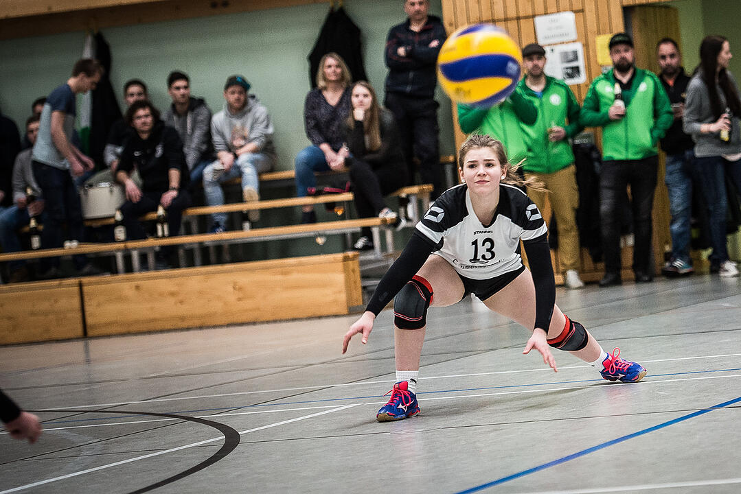 N.H. Young Volleys - TV Erlangen (3:2)