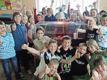 Die Schüler der 3a sind sehr glücklich über ihre gefiederten Klassenkameraden. Bevor die Küken schlüpften, hatten die Kinder viel zu tun ... Foto: Sarah Schmitt