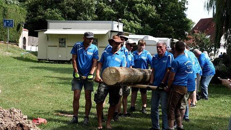 Ins selbstausgehobene Loch wurde der 20 Meter lange Baum mit Muskelkraft gebraxcht.