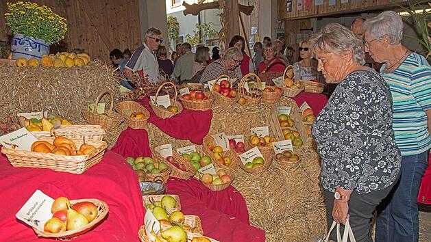 Ein reichhaltiges Angebot an verschiedensten Apfel- und Birnensorten bot der Obstmarkt in Romansthal Fotos: Klaus Gagel