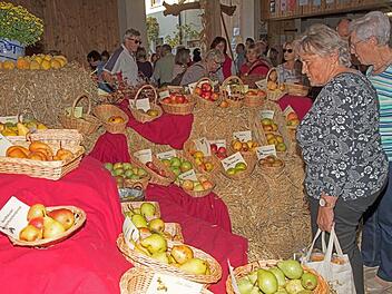 Ein reichhaltiges Angebot an verschiedensten Apfel- und Birnensorten bot der Obstmarkt in Romansthal Fotos: Klaus Gagel