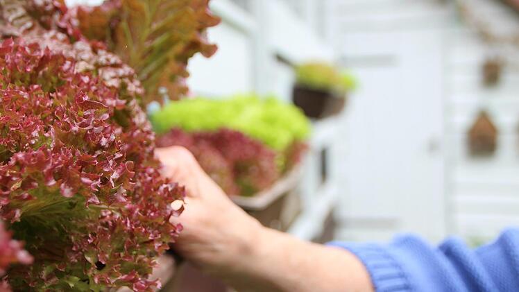 Eindrücke aus dem Garten von Susi Vorndran. Foto: Benedikt Borst