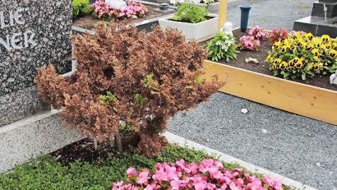 Splitt liegt in den Wegen zwischen den Gräbern. Fotos: Josef Hofbauer