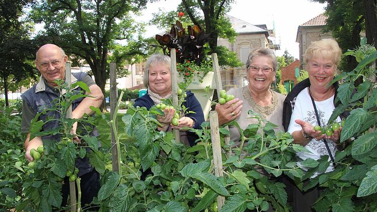 Der "harte Kern" und die saftigen Tomaten: Arno und Anna Ewert, Helene Schamann und Carola Stetting pflegen den Bürgergarten für die "Tafel".