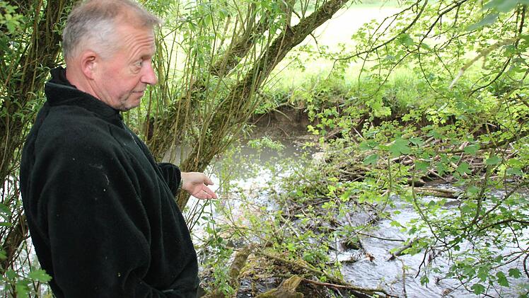 Heinz Becker zeigt, wo der Biber bei Rothhausen gerade einen neuen Damm baut.