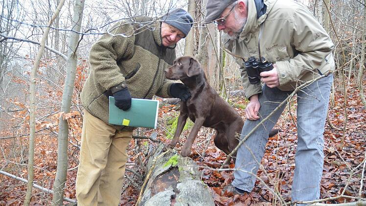 Albert Schrenker (links mit Hündin Ella) und Frank Reißenweber begutachten einen Totholzstamm im Taimbacher Forst. Foto: Rainer Lutz