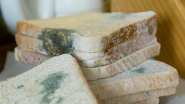 Schimmliges Toastbrot: Da sollte man nicht mehr reinbeißen. Foto: Hans Wiedl/dpa/Archiv