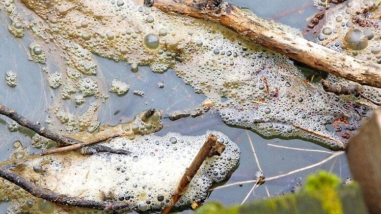 An Ästen und am Wehr bleiben die Schaumkronen hängen und türmen sich zu unansehnlichen braunen Häufchen.  Fotos: Josef Hofbauer