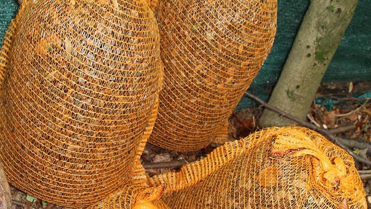 Mindestens 500 Gramm Bucheckern werden verpackt und verplompt und als Rückstellprobe genetisch untersucht. Foto: Sonja Adam