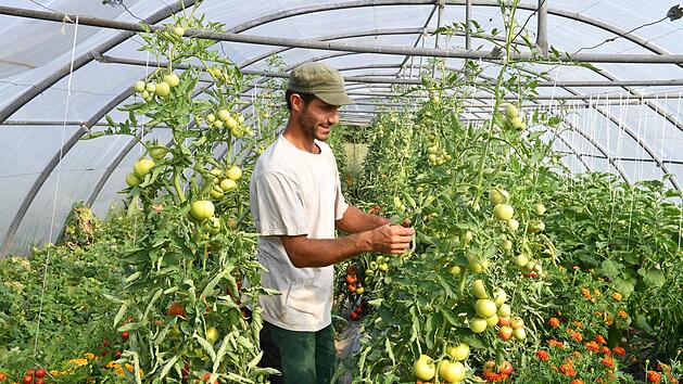 Durch die Unterst&uuml;tzung der Solidarischen Landwirtschaft (Solawi) hat G&auml;rtner Mathieu Lubiato  ein gesichertes Einkommen - das Prinzip funktioniert bereits im ersten Jahr in Bamberg. Foto: Ronald Rinklef